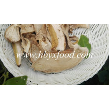 Dried Boletus/Porcini Edulis Mushroom Slices Grade a